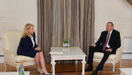 Prezident xanım naziri qəbul etdi