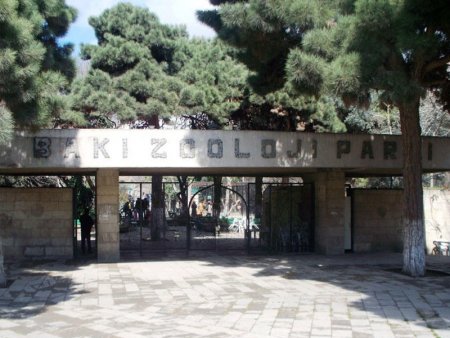 Bakı Zooparkının istifadəyə veriləcəyi təqribi vax bilindi