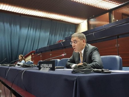 Parlamentlərarası İttifaqda ermənilər azərbaycanlı deputatın sualı qarşısında çaşdılar