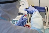Karanovirus hər  mövsümdə gələcək...