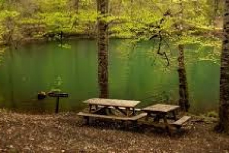 Sabahdan milli parklar açılır