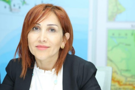 Bakıda 30-dək ağac və kol bitkisinin məhv edilməsi faktı araşdırıldı