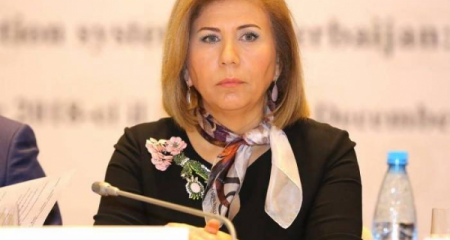 Dövlət Komitəsi payızda parlamentə hesabat verəcək