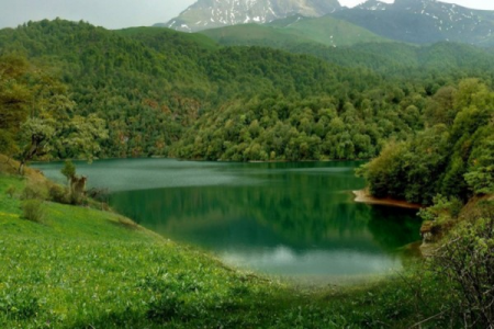 Nazirlik milli parklara girişin ödənişli olmasına aydınlıq gətirdi