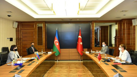 Naxçıvan Azərbaycanın bizə əmanətidir - Türkiyəli nazir