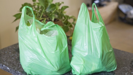 Polietilen torbalar və plastik stəkanların satışı qadağan edilir