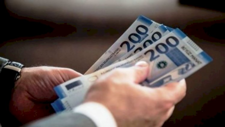 Dövlət qurumu milyonluq vergi borcu olan şirkəti qalib etdi