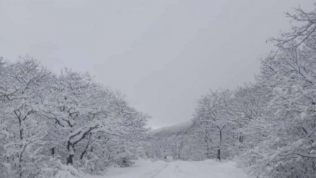 Bu gün Bakıya qar yağacaq: Hava kəskin soyudu