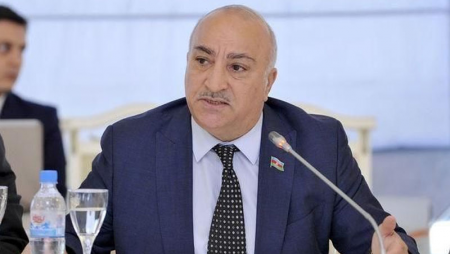 “Şəhid, qazi ailələrinin qazı, işığı, suyu havayı olmalıdır” - Deputatdan TƏKLİF