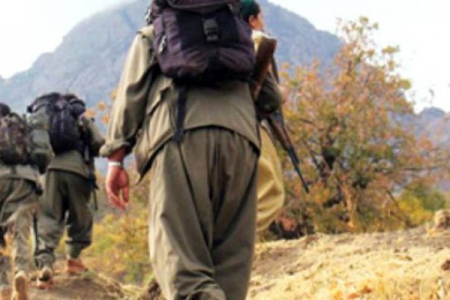 Suriyada PKK terrorçuları məhv edildi