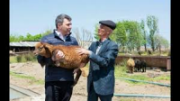 KTN bu gün başdan-başa korrupsiyalaşıb... - İnam Kərimov büdcə pullarını DAĞIDIR