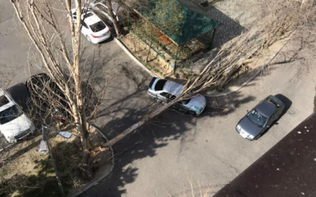 Bakıda külək ağacı aşırdı - FOTO