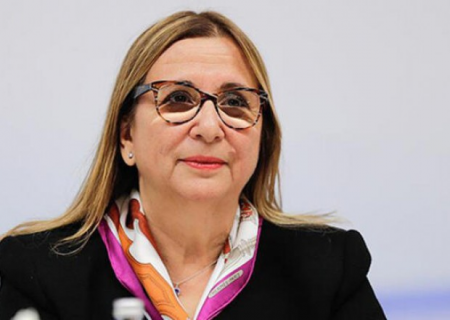 Türkiyəli nazir Milli Məclisə gəldi