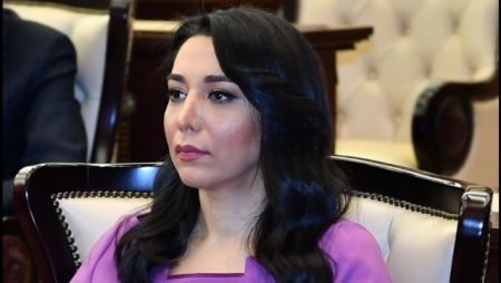 Milli Məclisdə Ombudsmanın hesabatı TƏNQİD EDİLDİ