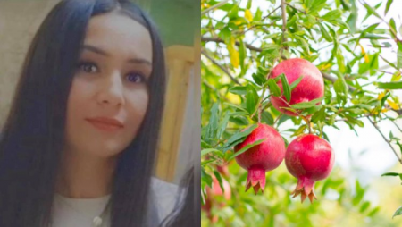 Sabirabadda gənc qadın özünü niyə dar ağacından asıb? - Təfərrüatlar
