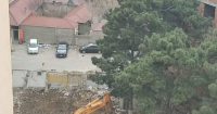 Abşeronda yaşıllıq “qətliamı” :Onlarla hündür ağaclar məhv edildi (VİDEO-FOTO)