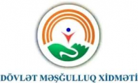 Daha bir Qarabağ Qazisi narazılıq edir... - Prezidentə müraciət olundu