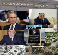 İqbal Əliyevin Şəmkirdə meşə ''TERRORU''...- Ekologiya Naziri Muxtar Babayev hara baxır?