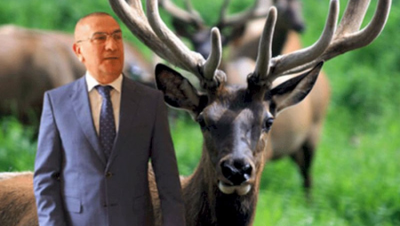 Alimpaşa Məmmədovun marallarından daha hansı məmurda var?