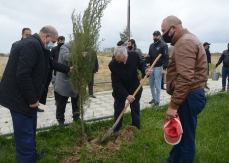 Qubadlı RİH ağacəkmə aksiyası keçirdi - FOTOLAR