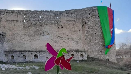 Xarı bülbül festivalının sürprizləri - Rəsmi açıqlama
