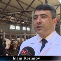 Cənab İnam Kərimov, sən nazir qoyansan ?- Çindən alınan 1.5 milyon tut tinginin sonu nə oldu ?
