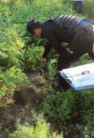 Saatlıda polisdən ƏMƏLİYYAT - Həbs olunanlar var
