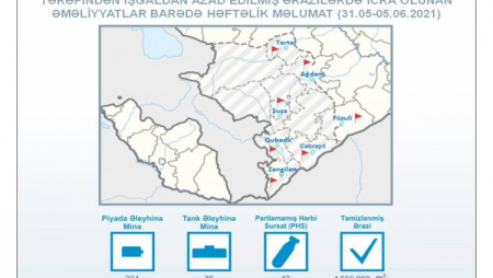 Azad olunan ərazilərdə aşkarlanan minaların sayı AÇIQLANDI