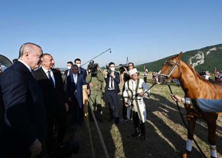 Ərdoğana hədiyyə edilən “Zəfər” atı - FOTOLAR