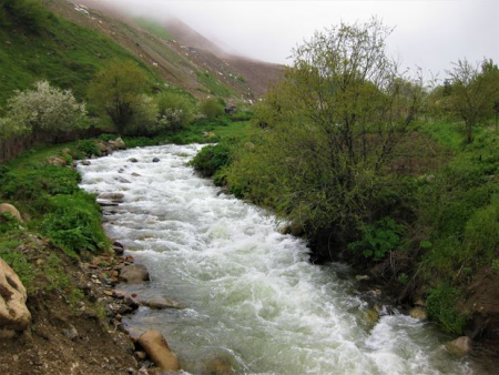 Azərbaycan tələbələri adından Oxçuçayla bağlı beynəlxalq təşkilatlara BƏYANAT