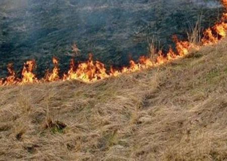 Kişi həmkəndlisinin təsərrüfatını yandırdı