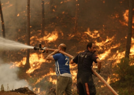 Türkiyədə meşədə növbəti yanğın - Bir nəfər saxlanıldı (FOTO)