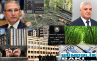 Nazir Muxtar Babayevin Şəki Meşə Mərkəzinə müdir təyin etdiyi Sərxan Əliyev meşələri məhv edir