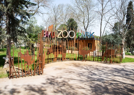 Bakı zooparkında COVID-19 pasportu tələb ediləcək