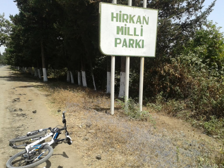 Hirkan Mili Parkında YAŞIL TERROR DAVAM EDİR