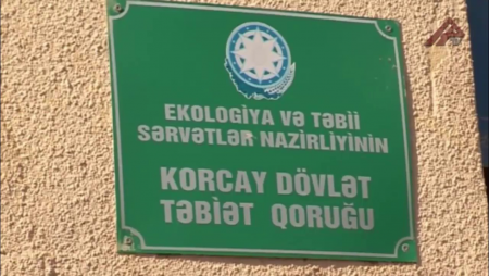 Korçay Qoruğu rəhbərinin əcaib ÜSULİ-TƏDBİRİ... - İDDİA