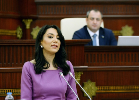 Ombudsman Milli Məclisdə hesabat verəcək