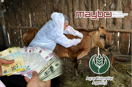 Heyvanlarda qorxulu xəstəliklər yayıla bilər... – Agentliyin 4,6 milyonluq vaksin qalmaqalı