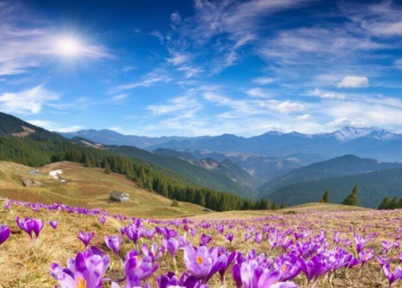 Sabah 27 dərəcə isti olacaq