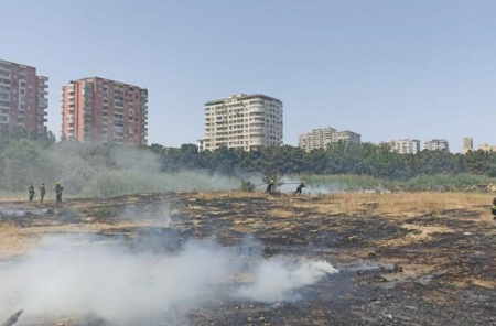 Bakıda parkda qəsdən yanğın törədilib, saxlanılan var - Foto