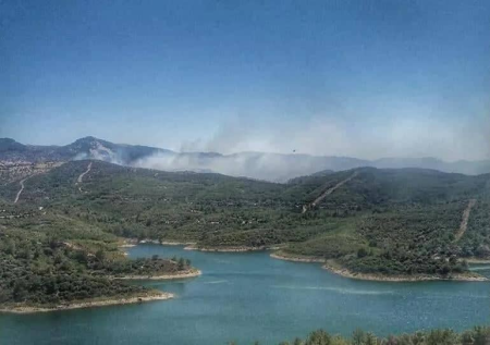 İzmir və Adanada meşə yanğınları davam edir