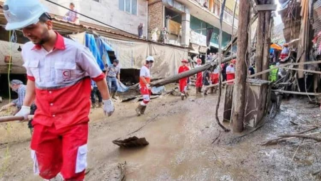 Yaponiyada meymunlar 58 nəfərə hücum edib