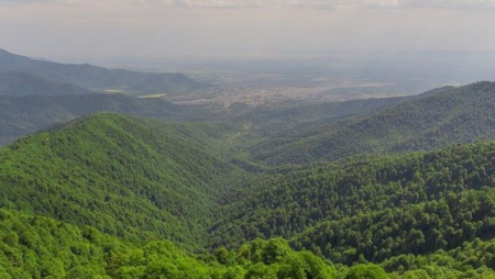 Zaqatala dağlarında daha bir turist itib: Arxasınca ayı düşüb...