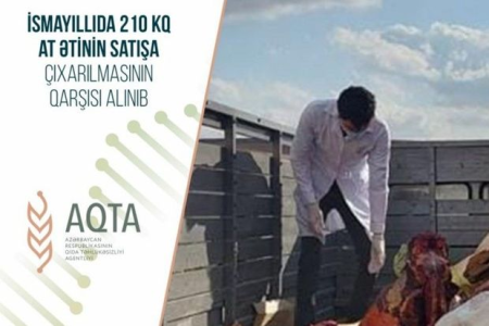 İsmayıllıda can verən atları kəsən şəxs ifşa edilib