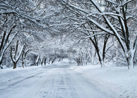 Temperatur 12 dərəcə enəcək - Bakıya qar yağacaq