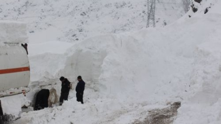 Tacikistanda qar uçqununda ölənlərin sayı artdı