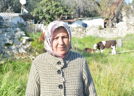 Zəlzələdə evi dağılan qadın hotelə inəkləri ilə birlikdə getdi