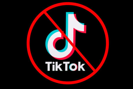 Bu ölkələrdə deputatlara, məmurlara "Tiktok" qadağan edildi