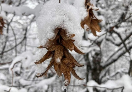 Hava bu tarixdən kəskin dəyişəcək - XƏBƏRDARLIQ