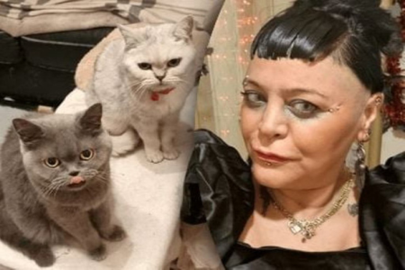 Pişiklərinə yemək almaq üçün həftədə bir dəfə QİDALANIR Pişiklərinə yemək almaq üçün həftədə bir dəfə QİDALANIR